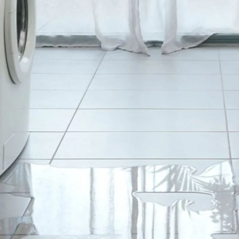 Appliance Leak Cleanup in Ypsilanti, MI