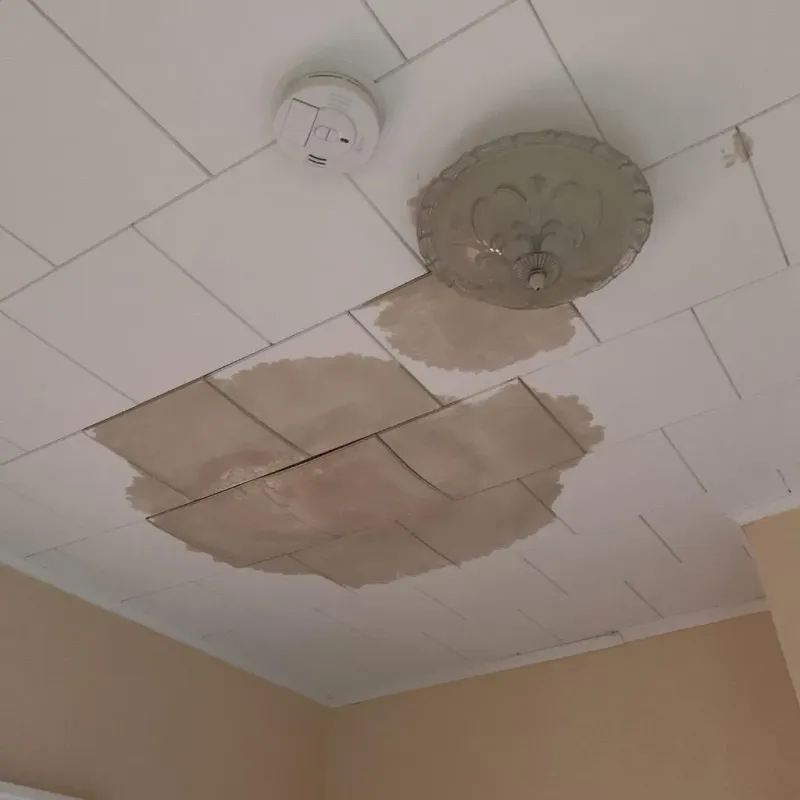 Ceiling Water Damage Repair in Ypsilanti, MI