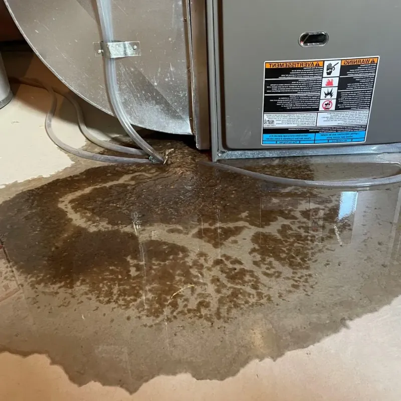 Pipe Burst and Leak Restoration in Ypsilanti, MI